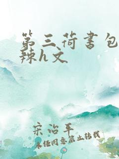 第三荷书包网高辣h文