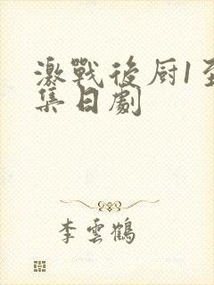 激战后厨1至5集日剧