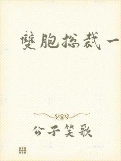 双胞总裁一个妻