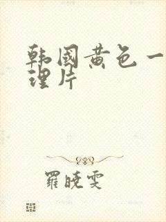 韩国黄色一级伦理片