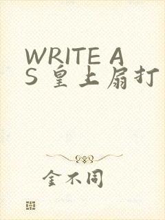 WRITE AS 皇上扇打