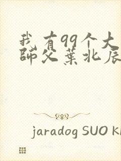 我有99个大佬师父叶北辰