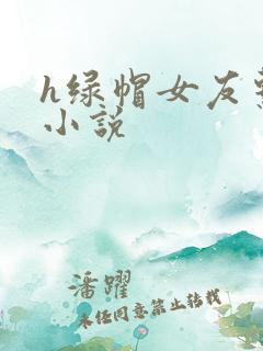 h绿帽女友系列小说