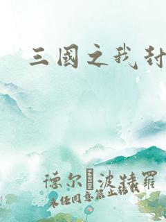 三国之我封天下