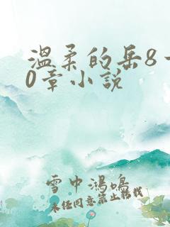 温柔的岳8一20章小说