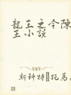 龙王之令陈平殿主小说