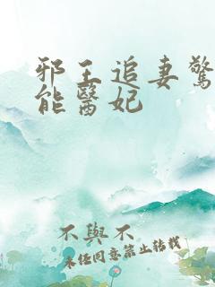 邪王追妻惊世全能医妃