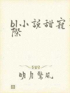 bl小说甜宠星际