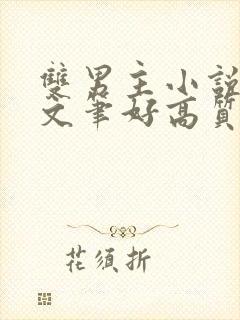 双男主小说推荐文笔好高质量