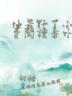 他最野了小说免费阅读番外篇