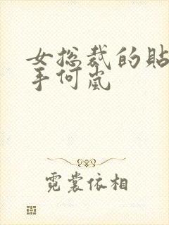 女总裁的贴身高手何岚