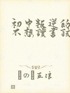 初中叛逆的孩子不想读书该怎么办