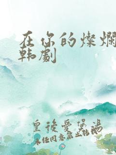 在你的灿烂季节韩剧