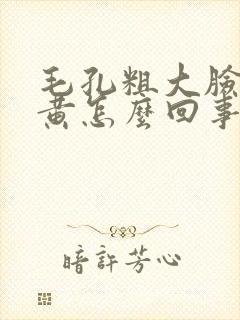 毛孔粗大脸色蜡黄怎么回事