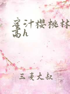 蜜汁樱桃林妙妙高h