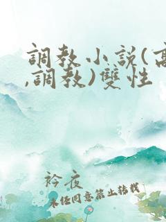 调教小说(高h,调教)双性