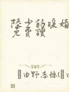 陆少的暖婚新妻免费读