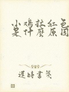 小鸡拉红色粪便是什么原因