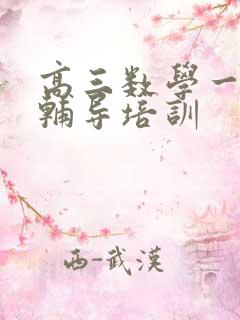 高三数学一对一辅导培训