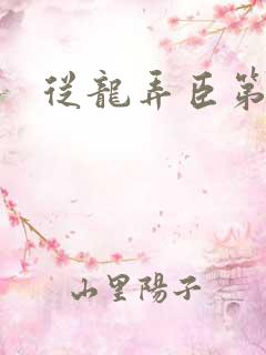 从龙弄臣第一次