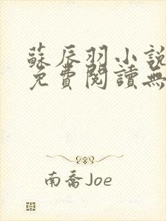 苏辰羽小说全文免费阅读无弹窗最新章节