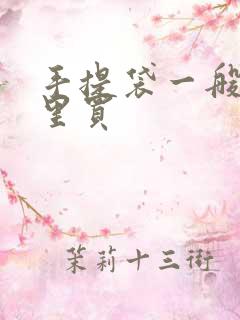 手提袋一般去哪里买