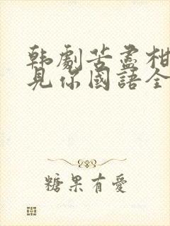 韩剧苦尽柑来遇见你国语全集