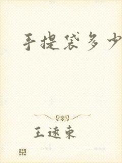 手提袋多少一个