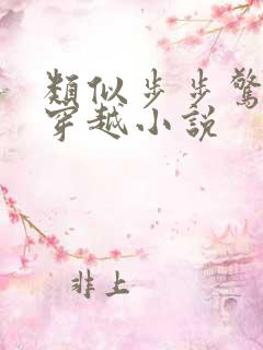 类似步步惊心的穿越小说