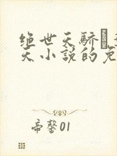 绝世天骄·叶凌天小说的免费阅读