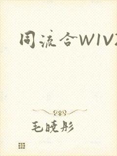 同流合W1V2