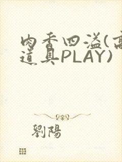 肉香四溢(高H道具PLAY)