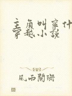 主角叫宁什么的穿越小说