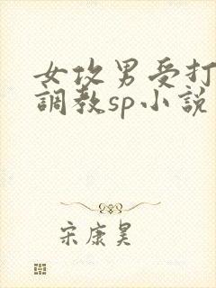 女攻男受打屁股调教sp小说