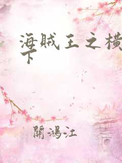 海贼王之横行天下