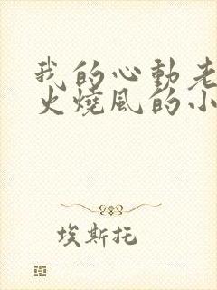 我的心动老板娘火烧风的小说