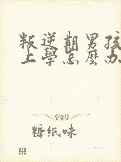 叛逆期男孩不愿上学怎么办