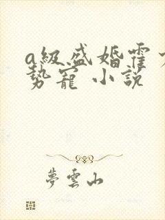 a级盛婚霍少强势宠 小说