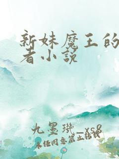 新妹魔王的契约者小说