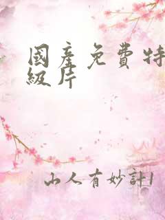 国产免费特黄一级片