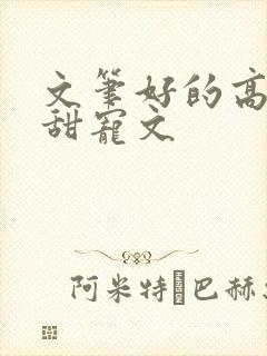 文笔好的高质量甜宠文