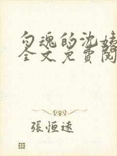 勾魂的沈姨小说全文免费阅读