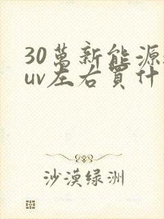 30万新能源suv左右买什么车好