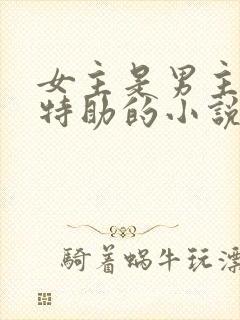 女主是男主首席特助的小说