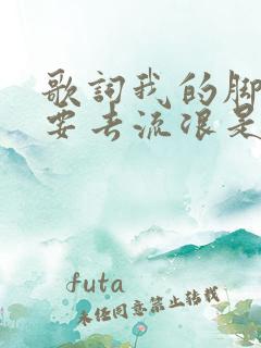 歌词我的脚步想要去流浪是哪首歌