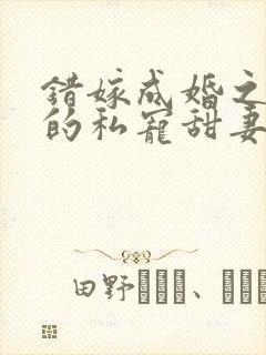 错嫁成婚之总裁的私宠甜妻 小说