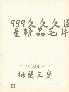 999久久久国产精品毛片