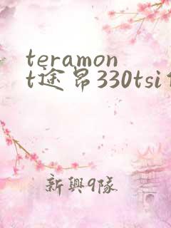 teramont途昂330tsi价格
