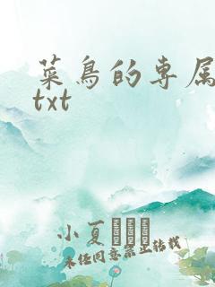 菜鸟的专属大神txt