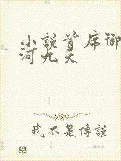 小说首席御医银河九天